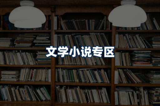 文学小说PDF展示